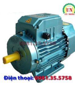 Động cơ điện 1 pha 1.1 kW tốc nhanh 2900 vòng/phút