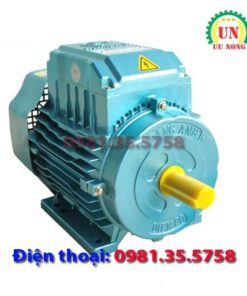 Cấu tạo chi tiết của động cơ điện 1 pha 3 kW 2900 vòng/phút