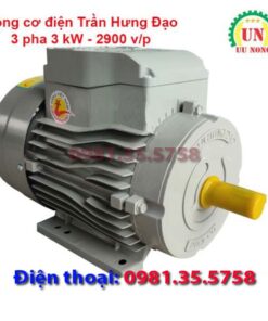 Động cơ điện 3 pha 3 kW tốc nhanh 2900 vòng/phút