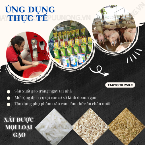 Ứng dụng thực tế của máy xát gạo gia đình Takyo TK 250 C